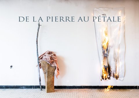 De la pierre au pétale