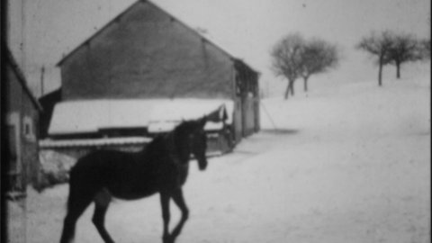 Polyphonie recto-verso